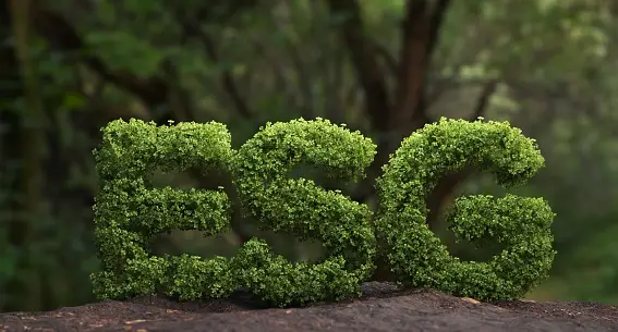 The ESG Imperative Facing Growth Stage Companies