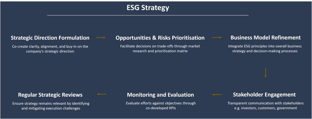 diagram illustrating ESG Strategy with six steps