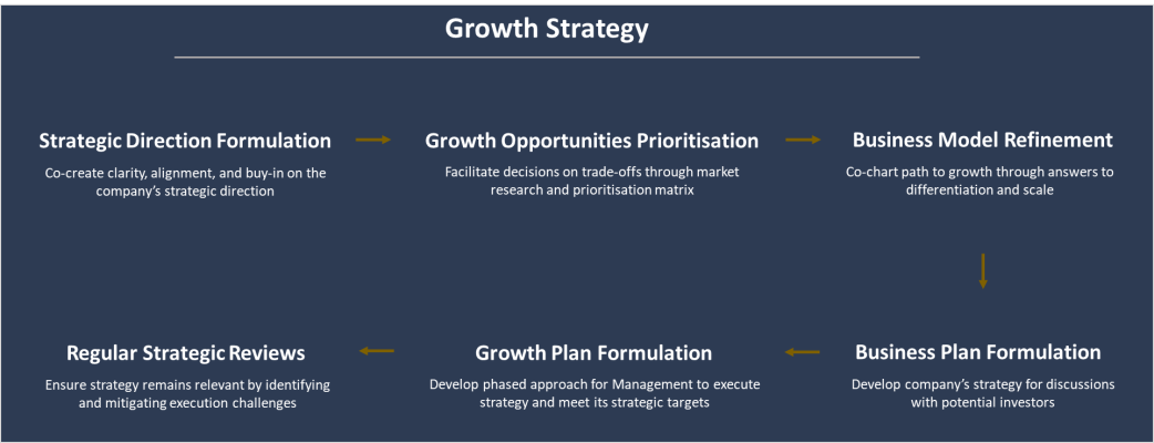 Flow chart outlining a growth strategy with six steps